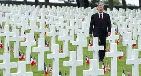 crosses_bush.webp