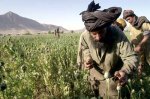 Afghanopium2.jpg