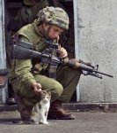 iraq-soldierWithCat.jpg