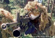 bewareofthecat.webp