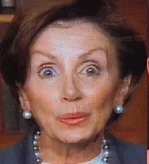 pelosi.webp