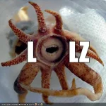 funny-pictures-lol-squid.webp