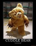 cuddle-bear-bear-demotivational-poster-1222488738.jpg