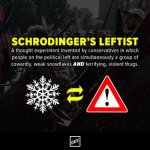 Schrodinger-s-Lefitist.jpg