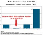 Black_Lives_Matter_is_really_protesting_nothing (1).jpg
