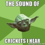 the-sound-of-crickets-i-hear.jpg