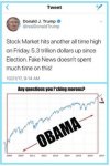 Scum bags stock market.jpg