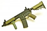 AR15 SBR 1 (1 of 1).jpg