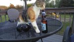 Bella having a beer.jpg