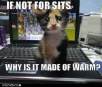 lolcatsdotcom3gp6wm7dw3jihq9t.jpg