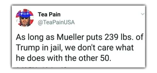 Trumpfatty.webp