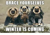brace-yourselves-winter-is-coming-18735660.webp