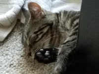 20170928_160644.webp