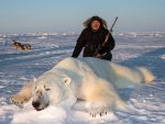 spring-hunt-polar-bear-pics-2.jpg