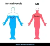 sarcasm image level.webp
