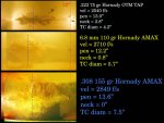 5.56 75 gr Hornady OTM 2540 fps P-13in N-2.8 in TC-4.3 in.jpg