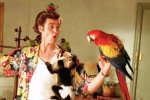 Jim-Carey-as-Ace-Ventura-pet-detective-with-Poncho-Parrot.jpg