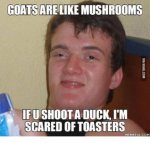 goatsarelikemushrooms-ifushoota-duckim-scared-of-toasters-memeful-com-14730361.jpg