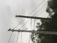 Mom&DadOsprey.webp