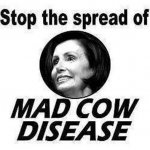 Nancy Pelosi Mad Cow.jpg