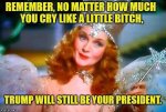 Bitches cry but Trump will still be your president.jpg