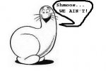 Shmoo3.jpg