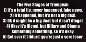 the-five-stages-of-trumpism-1j-its-totallie-never-happened-21557453.webp