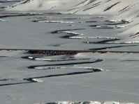 snowytracks.webp