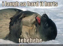 laugh til it hurts.webp