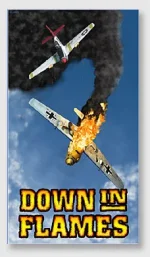 down in flames.webp