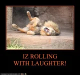 laughing lion.webp