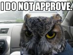 disapproval-owl.jpg