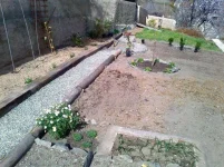 Garden 7 Mar 2012.webp