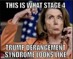 Pelosi Trump Derangement Syndrome.jpg