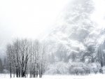 Christmas Eve, Ahwahnee Meadow.jpg