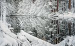 Christmas Morning, Merced River #1.jpg