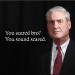 Mueller5.webp