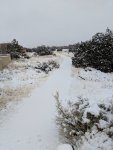 snowtrail1.jpg snowtrail1.jpg