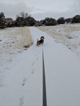 snowtrail2.jpg snowtrail2.jpg