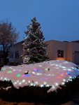 Christmas night lights1.jpg Christmas night lights1.jpg