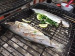 Fish on the grill 2.jpg