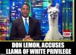 don lemon llama white privilege.jpg