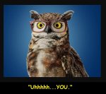 Owl YOU.jpg
