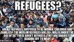terrorist refugees.jpg
