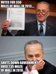 schumer wall hypocrisy.jpg