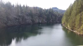 Lewis River.webp