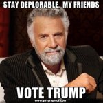 stay-deplorable.jpg