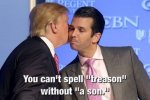 trump-jr-treason.jpg