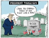 trump v mccain.webp