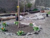 Garden 7 Mar 2012-2.webp